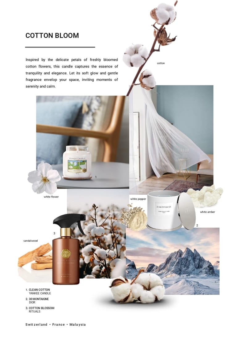 2024_03_18 Air Care Trends Vol.1_page-0007