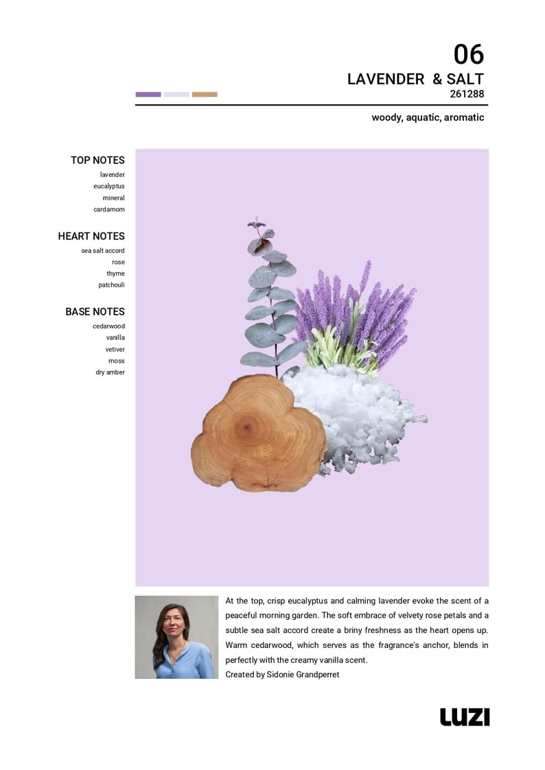 2024_03_18 Air Care Trends Vol.1_page-0012